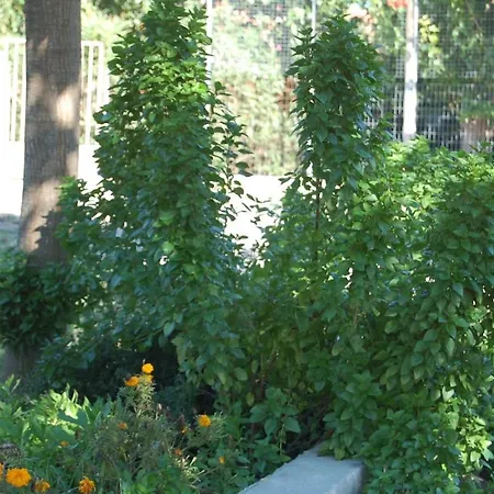 And Garden House Casa vacanze